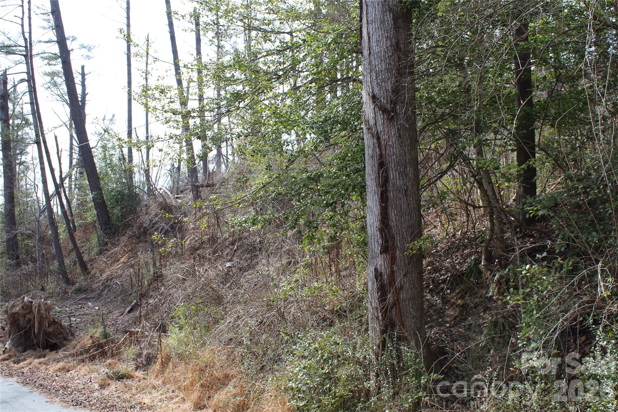 00 Monte Vista Circle Spruce Pine NC 28777