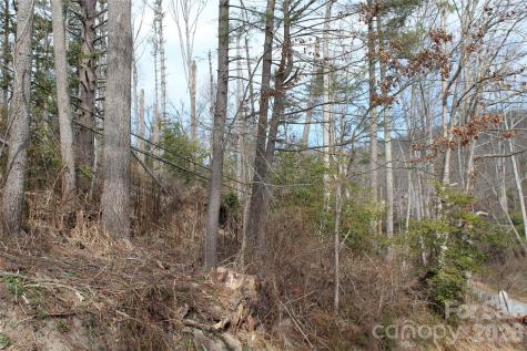 00 Monte Vista Circle Spruce Pine NC 28777