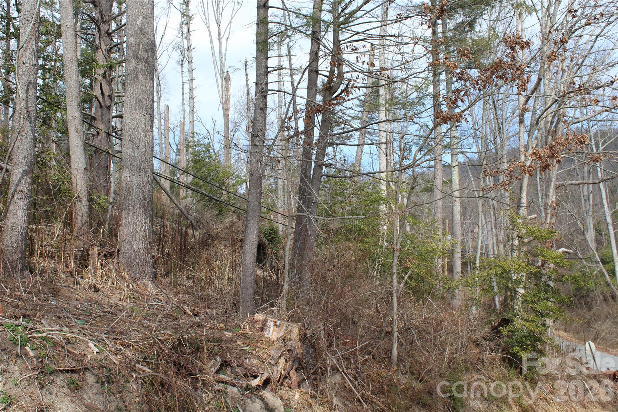 00 Monte Vista Circle Spruce Pine NC 28777