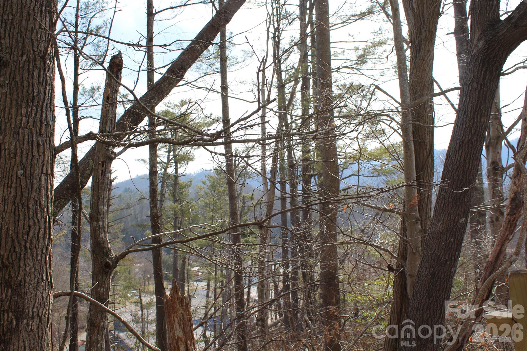 00 Monte Vista Circle Spruce Pine NC 28777