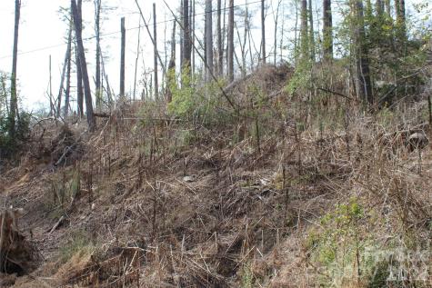 00 Monte Vista Circle Spruce Pine NC 28777