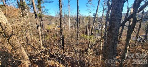 00 Monte Vista Circle Spruce Pine NC 28777