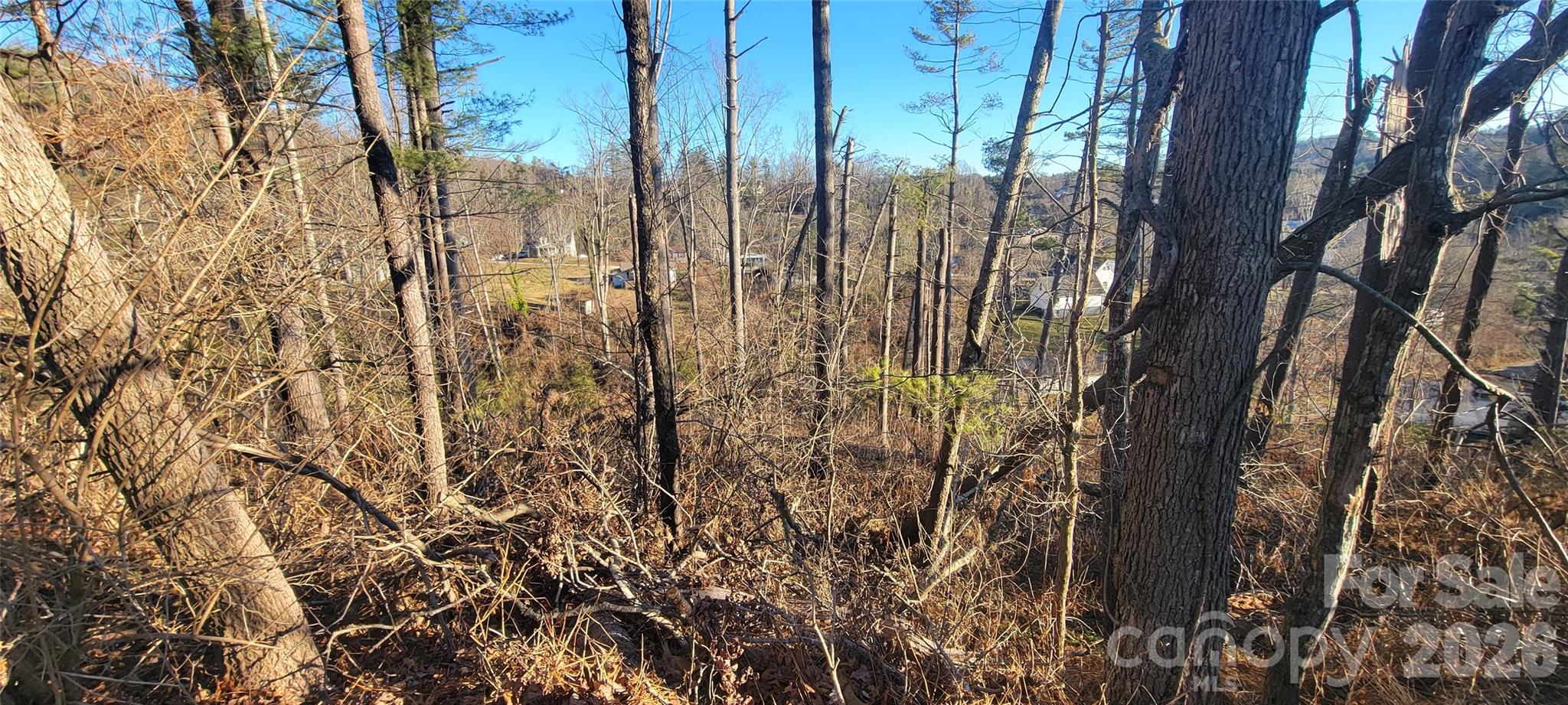 00 Monte Vista Circle Spruce Pine NC 28777
