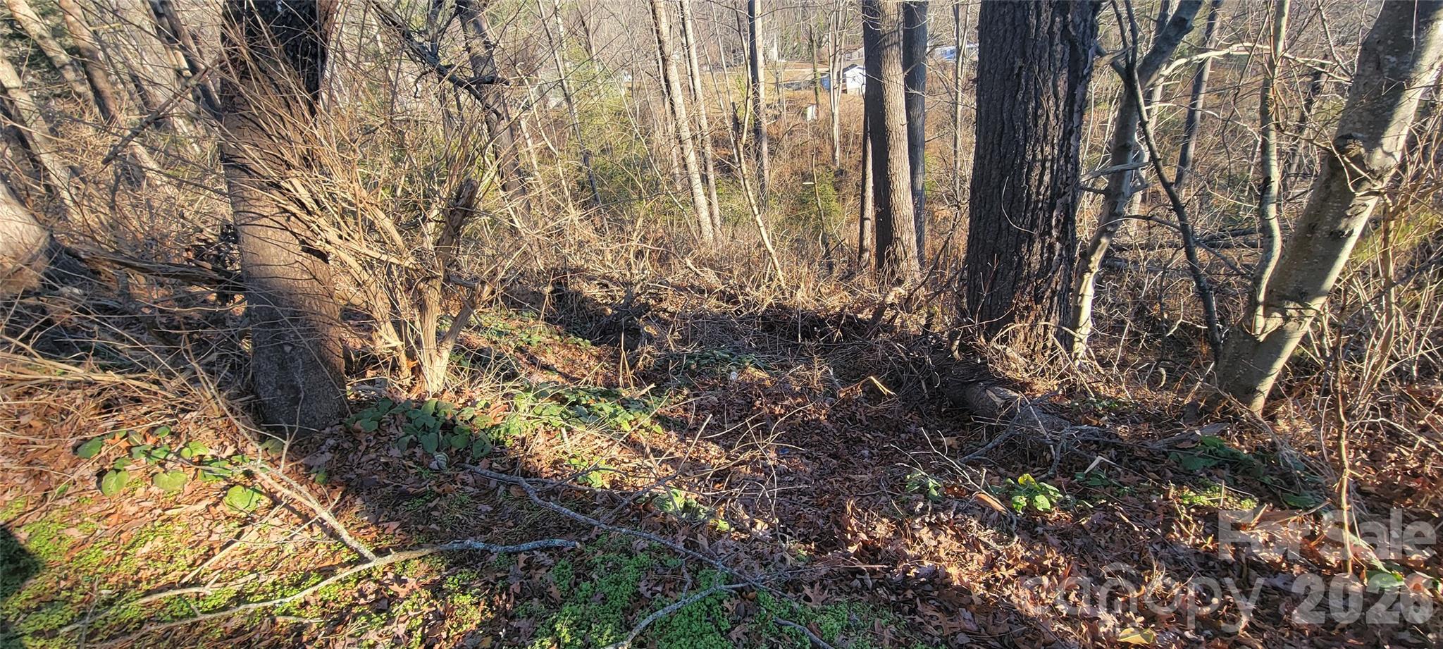 00 Monte Vista Circle Spruce Pine NC 28777