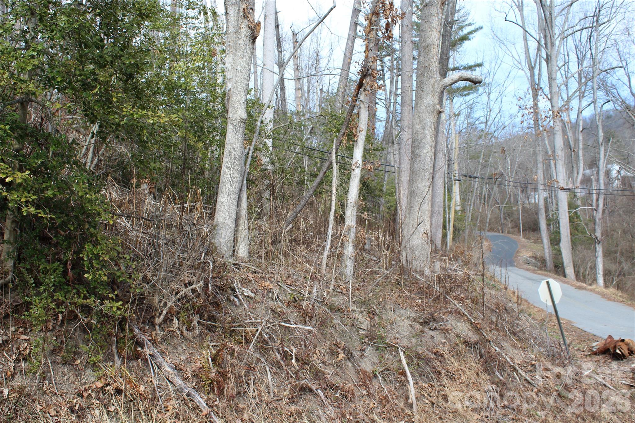 00 Monte Vista Circle Spruce Pine NC 28777