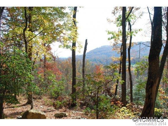20 Raven Cliff Lane Arden NC 28704