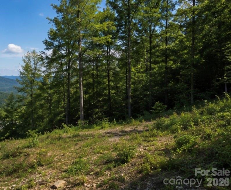 103 One Feather Road Whittier NC 28789