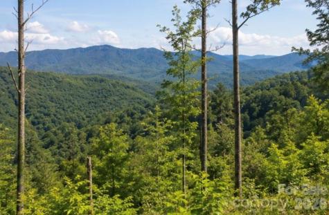 103 One Feather Road Whittier NC 28789