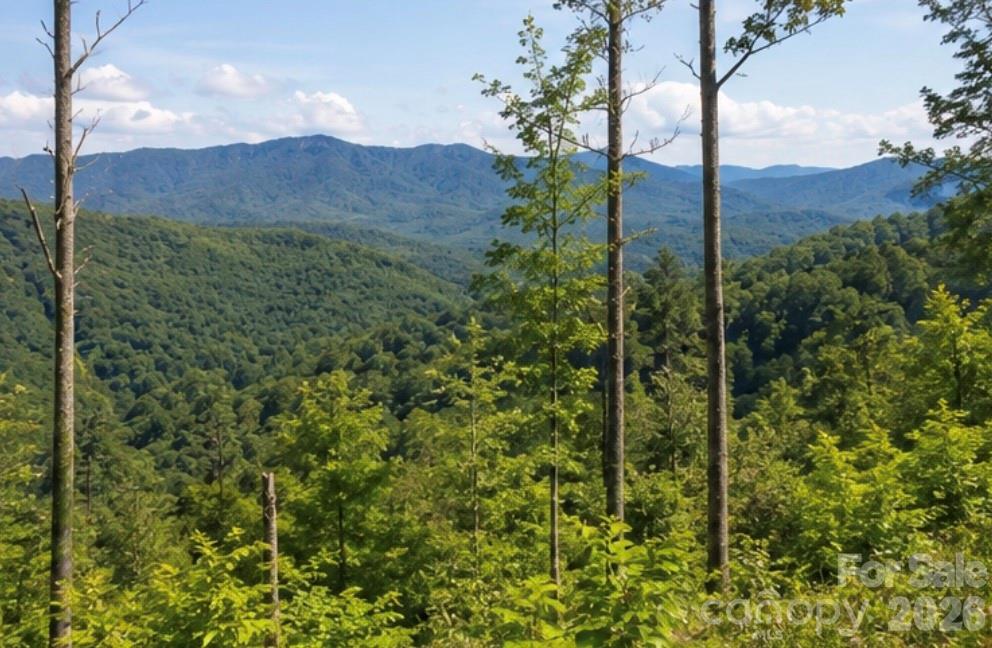 103 One Feather Road Whittier NC 28789