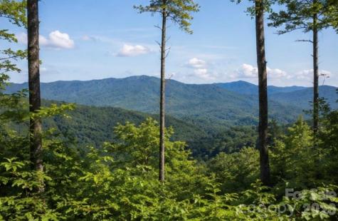 103 One Feather Road Whittier NC 28789