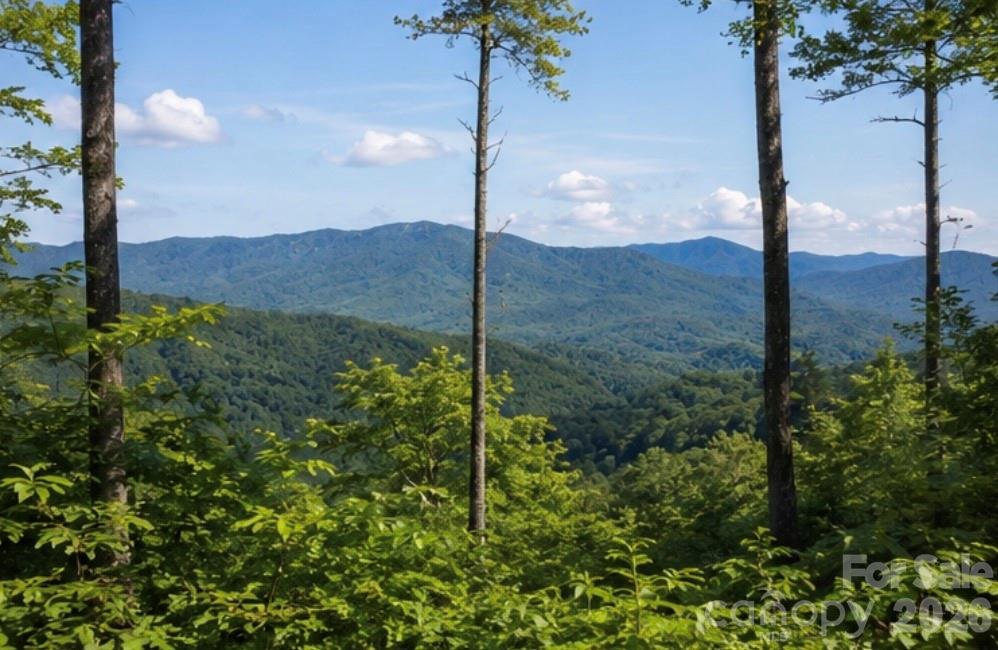 103 One Feather Road Whittier NC 28789