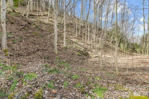 00 Lady Bug Lane W Maggie Valley NC 28751