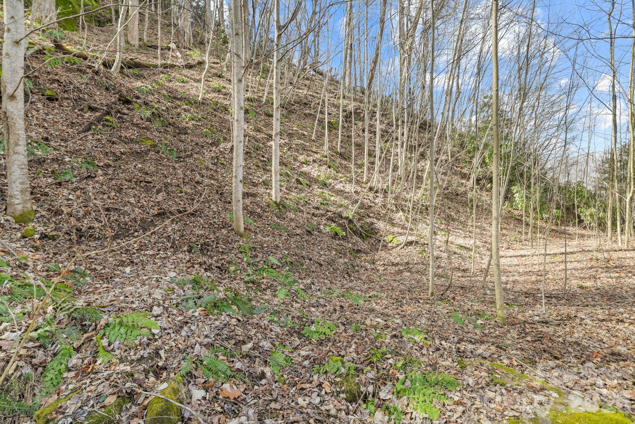 00 Lady Bug Lane W Maggie Valley NC 28751