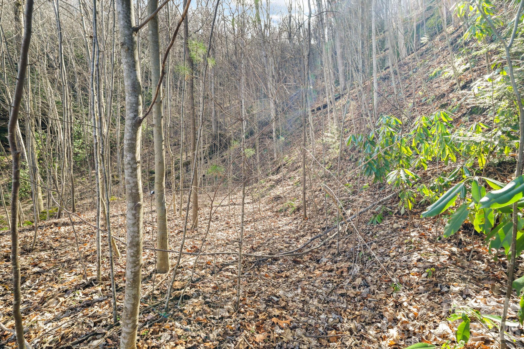 00 Lady Bug Lane W Maggie Valley NC 28751