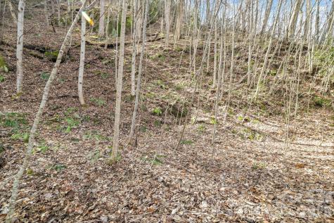 00 Lady Bug Lane W Maggie Valley NC 28751