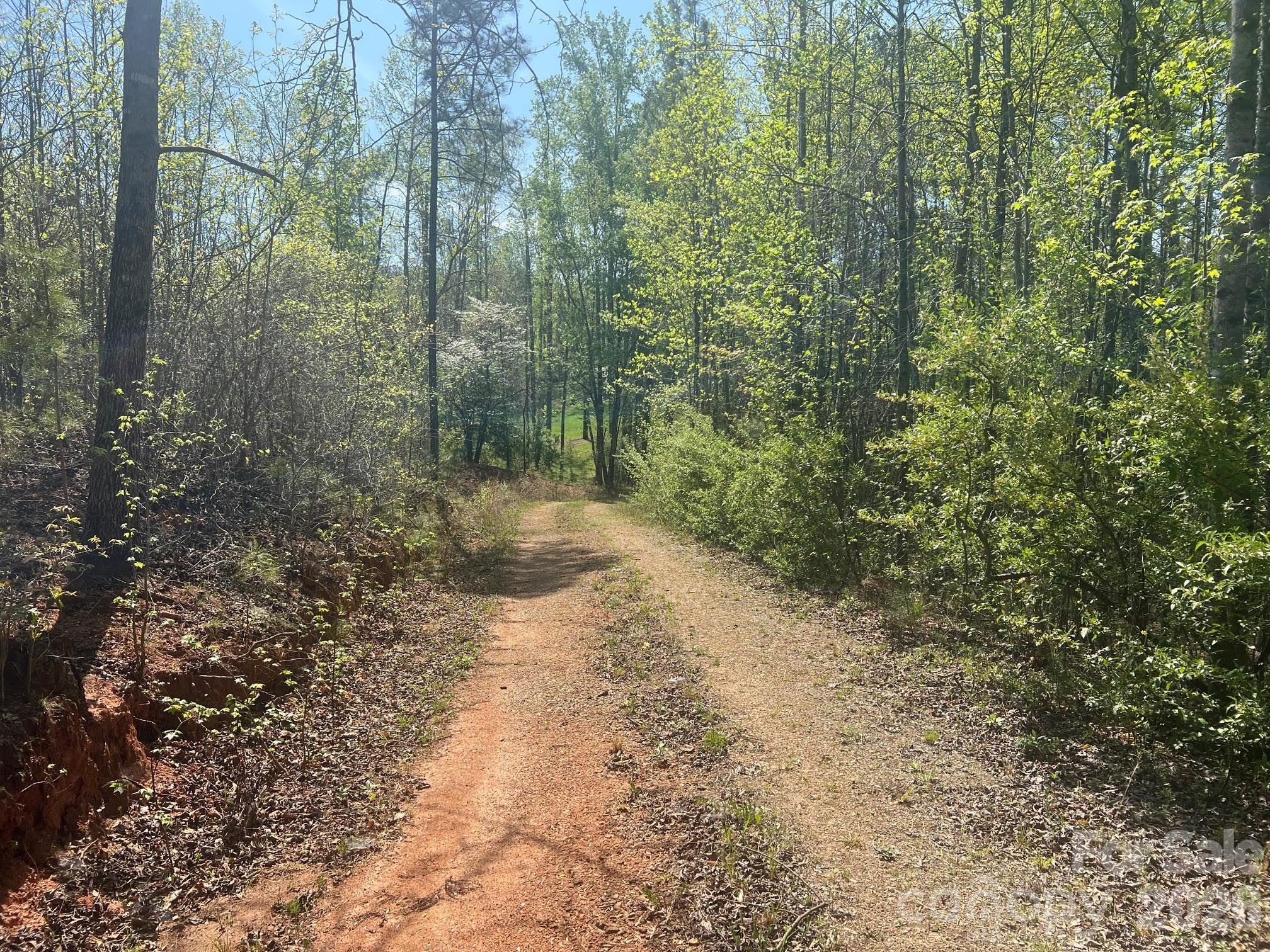 6374 Peniel Road Tryon NC 28782