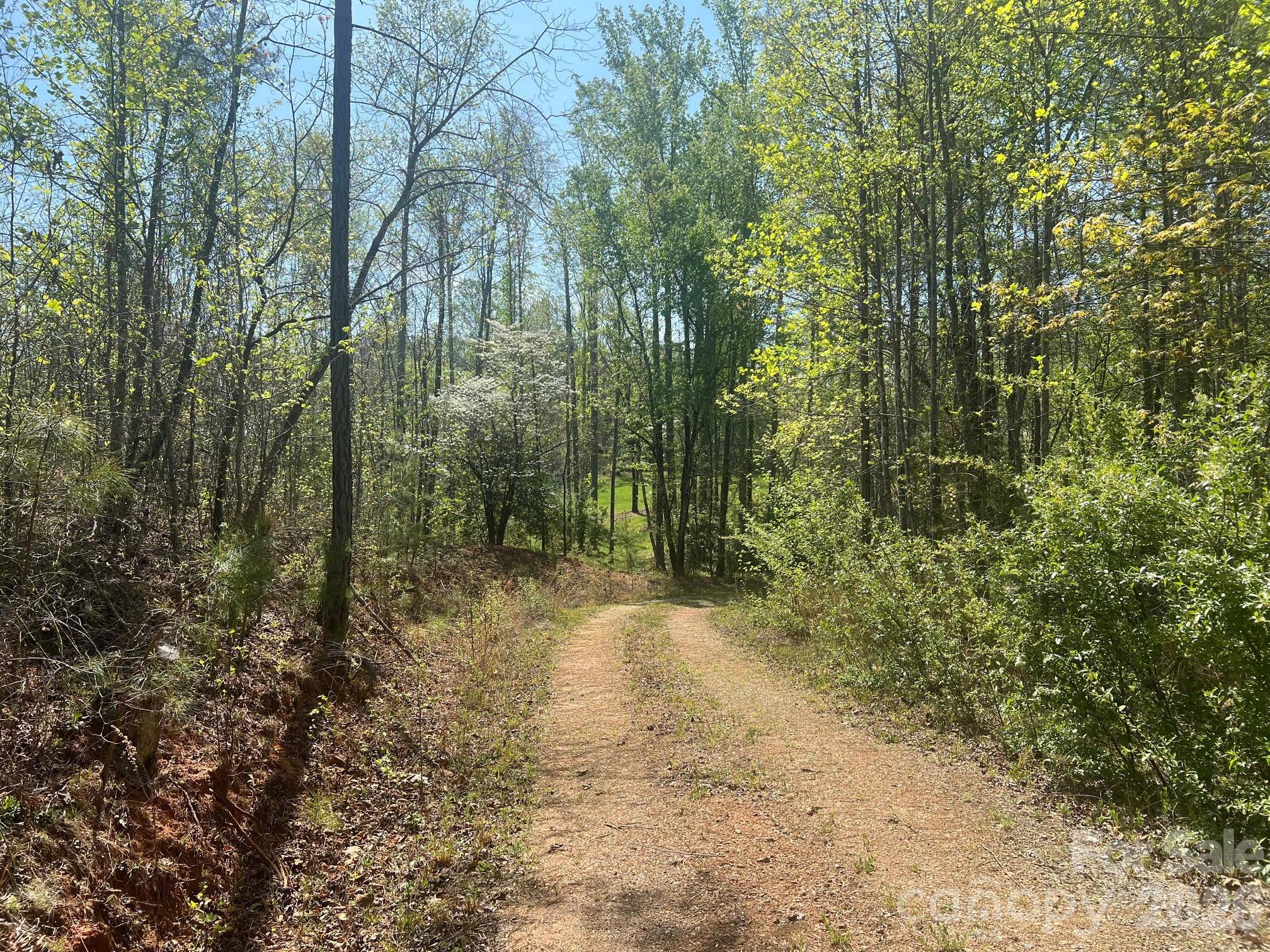 6374 Peniel Road Tryon NC 28782