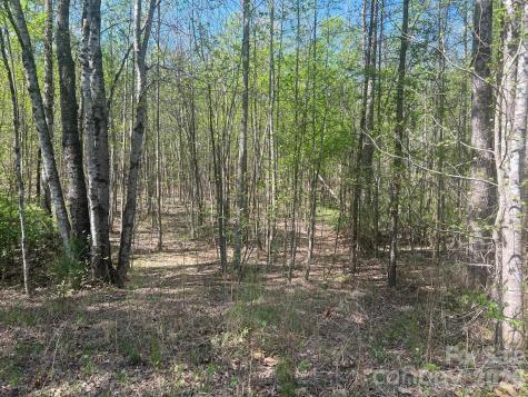 6374 Peniel Road Tryon NC 28782