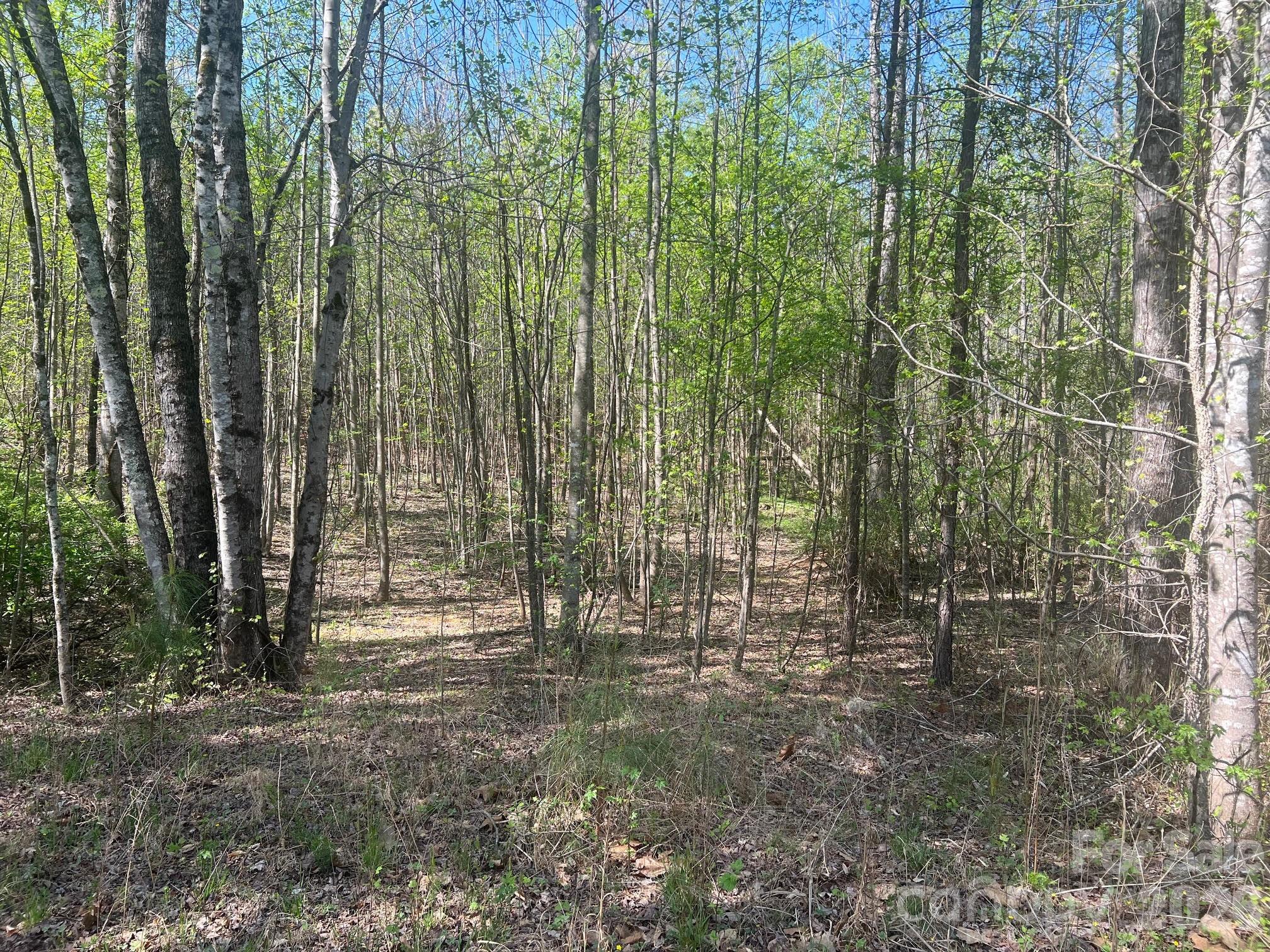 6374 Peniel Road Tryon NC 28782