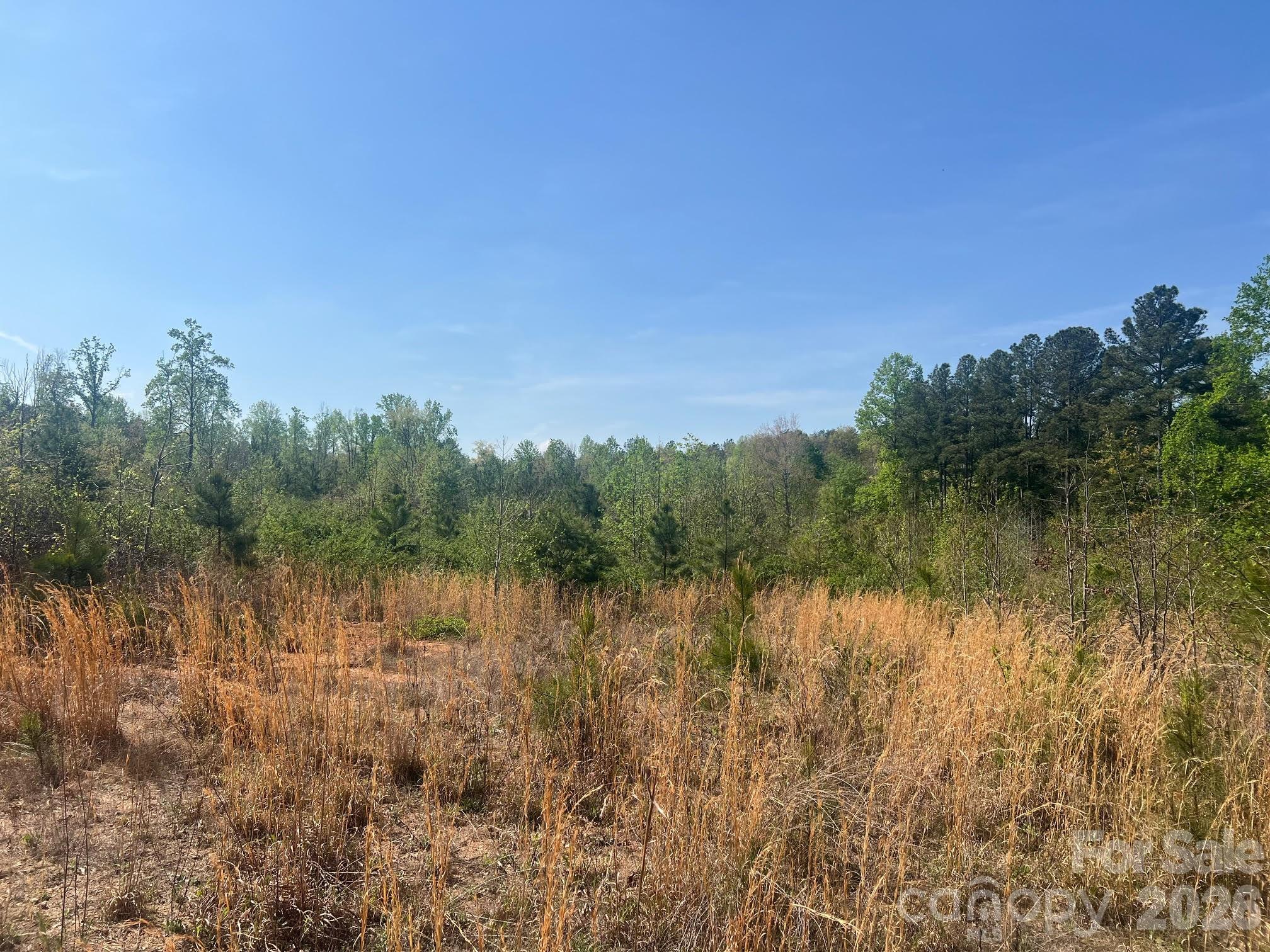 6374 Peniel Road Tryon NC 28782