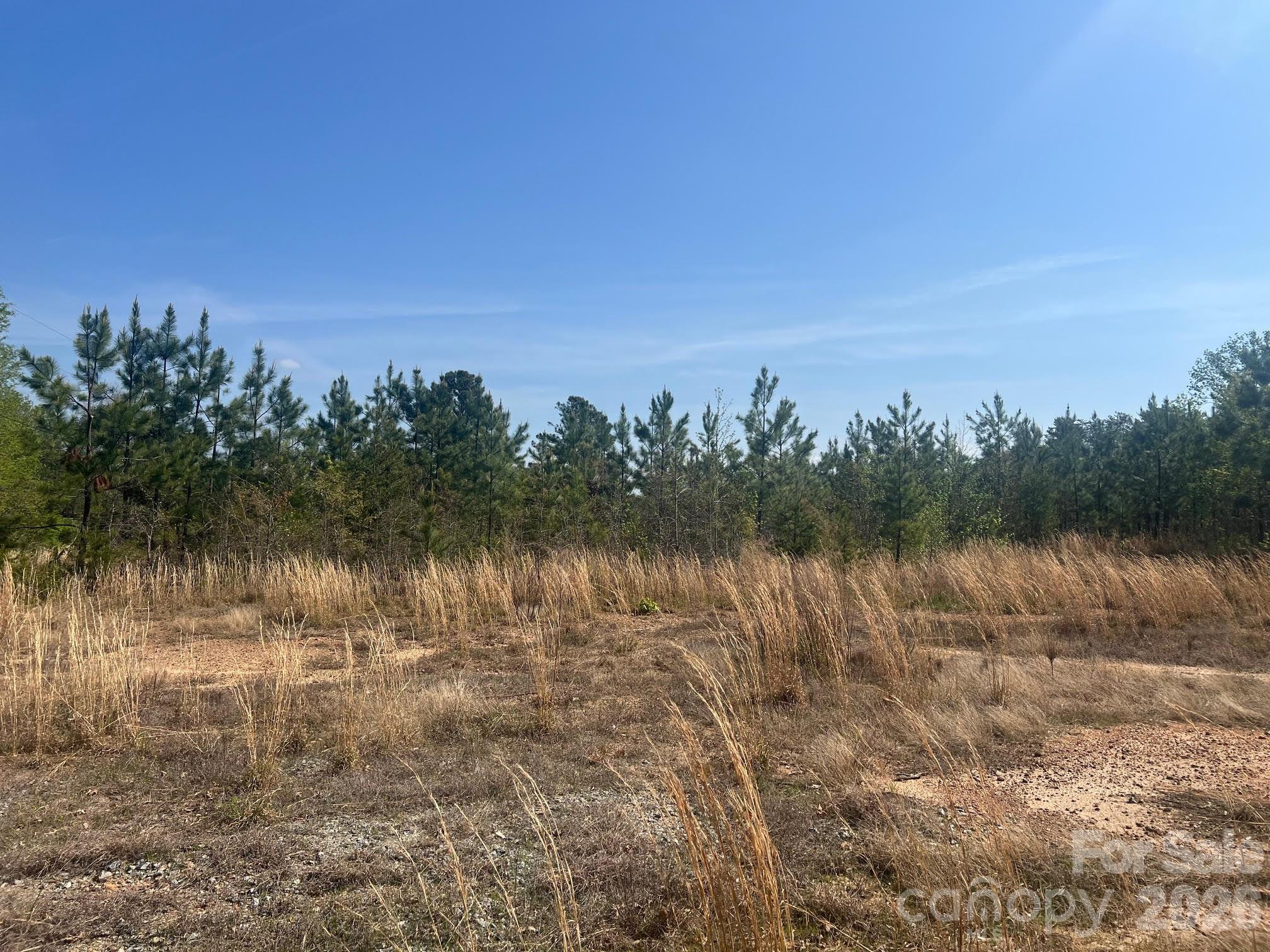 6374 Peniel Road Tryon NC 28782
