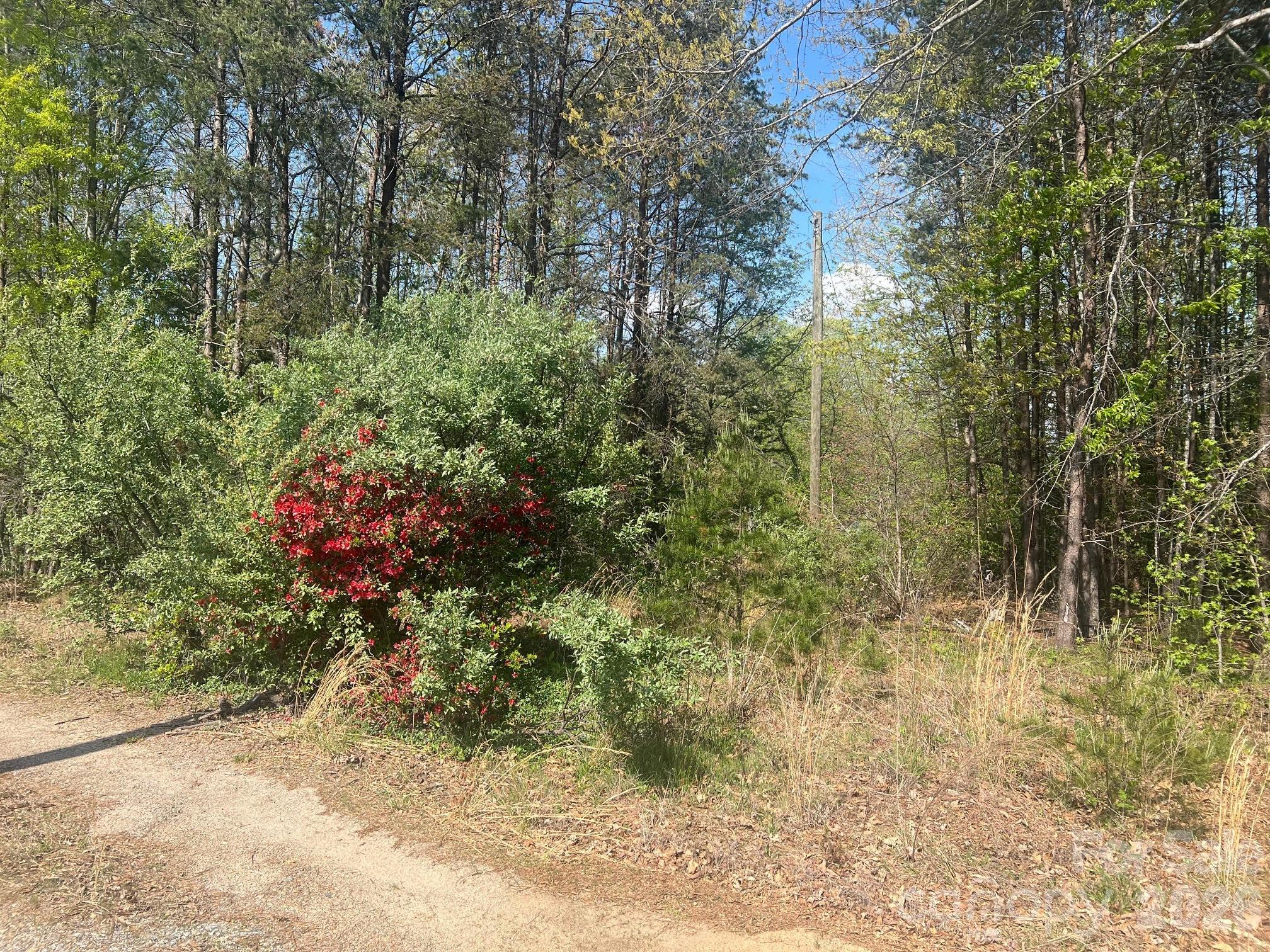 6374 Peniel Road Tryon NC 28782