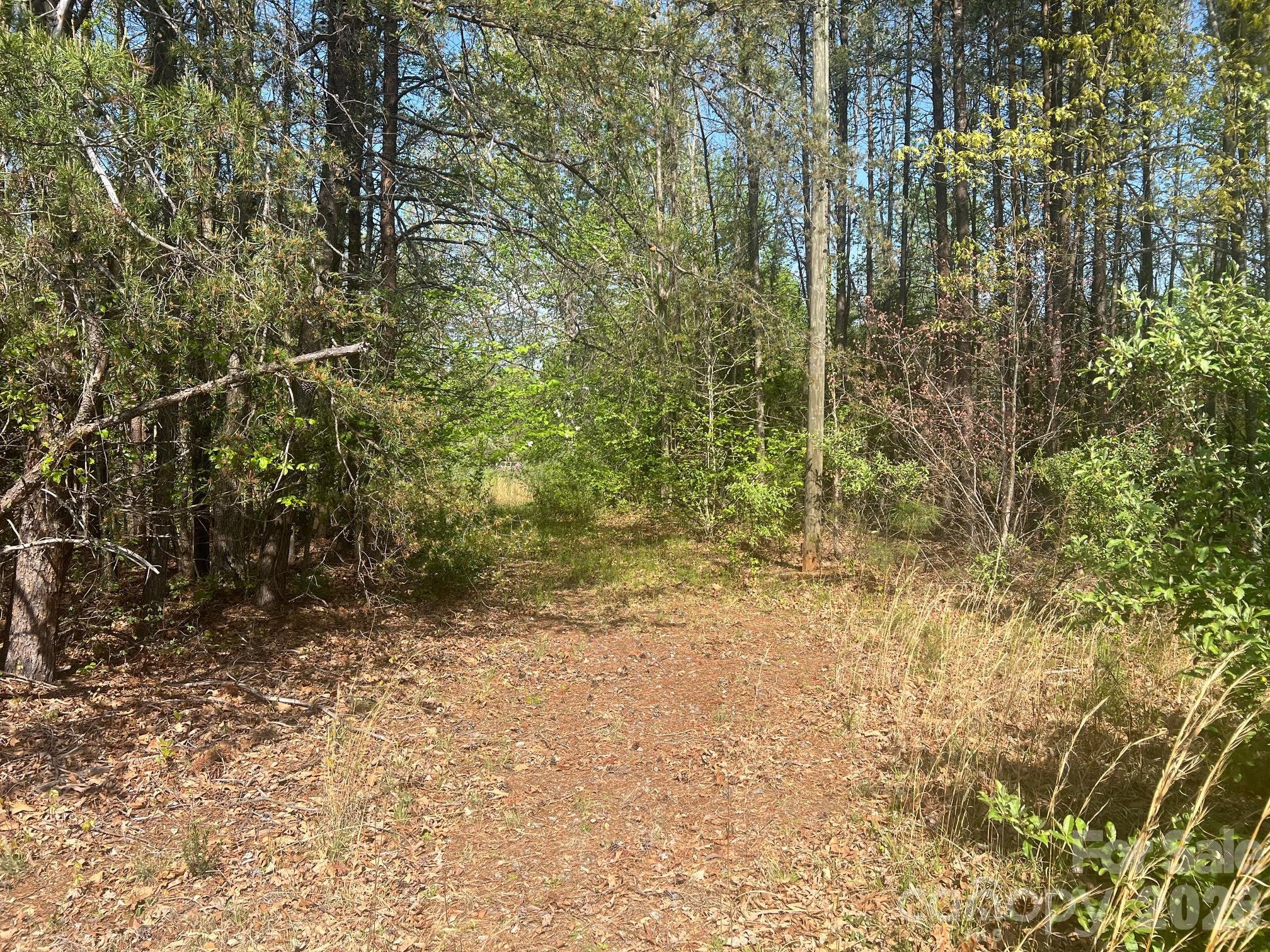6374 Peniel Road Tryon NC 28782