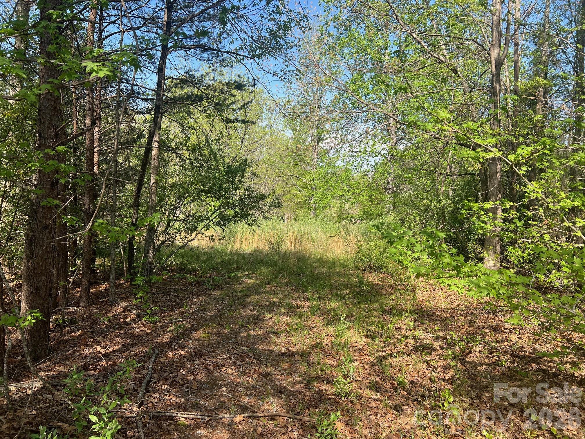 6374 Peniel Road Tryon NC 28782