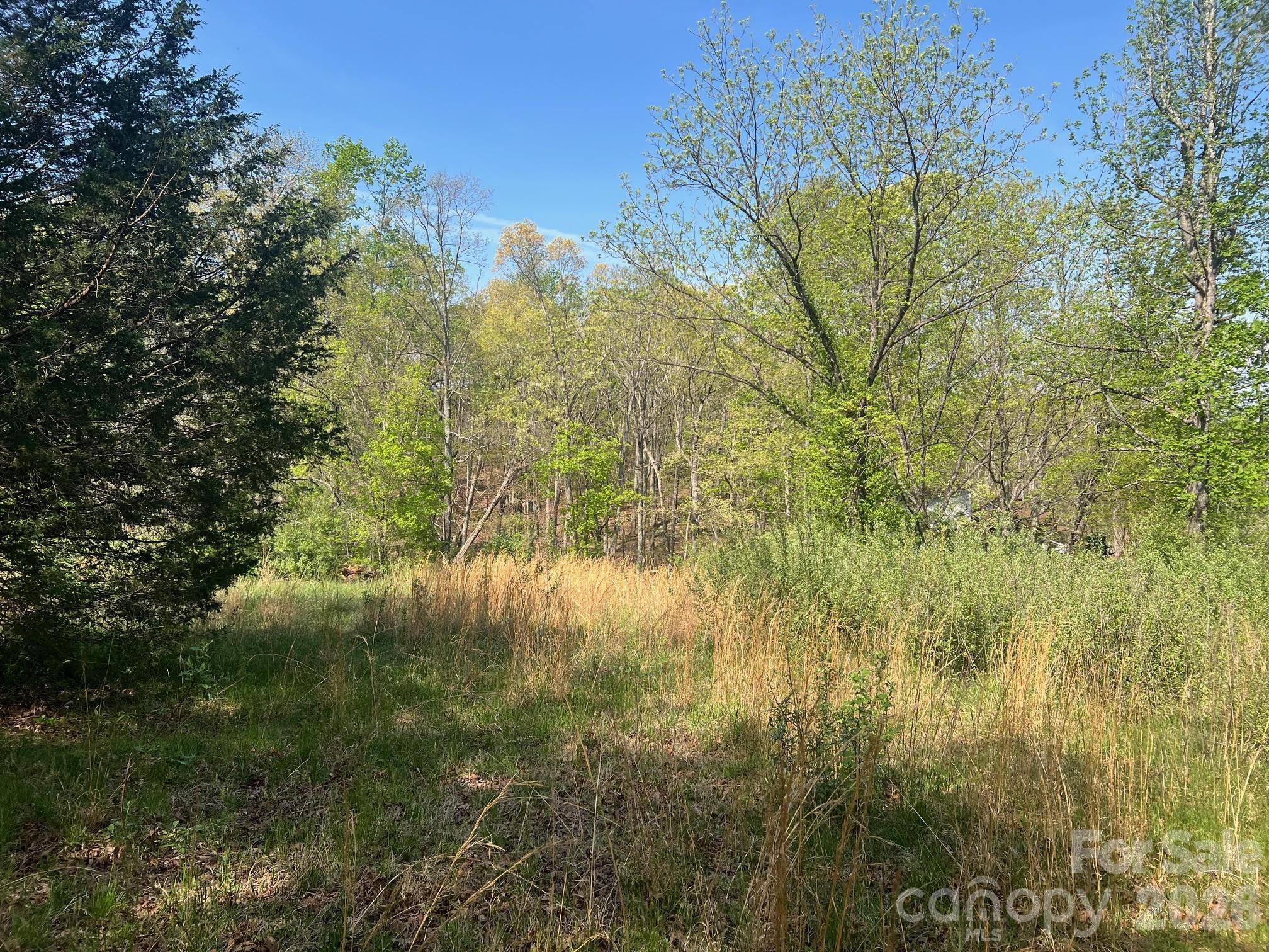 6374 Peniel Road Tryon NC 28782