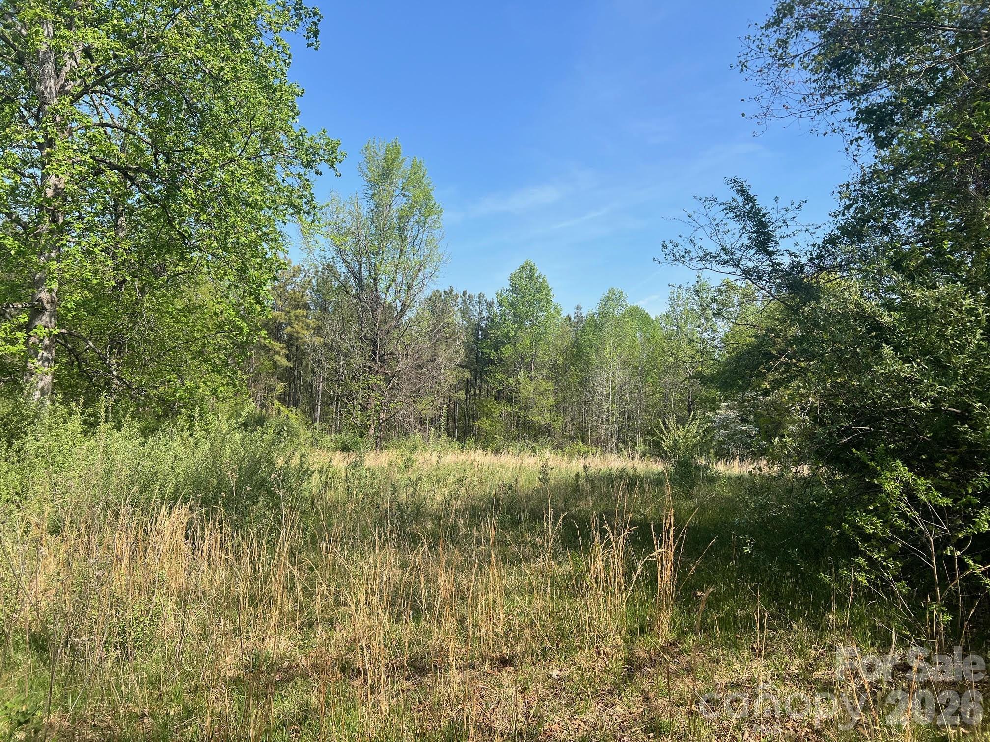 6374 Peniel Road Tryon NC 28782