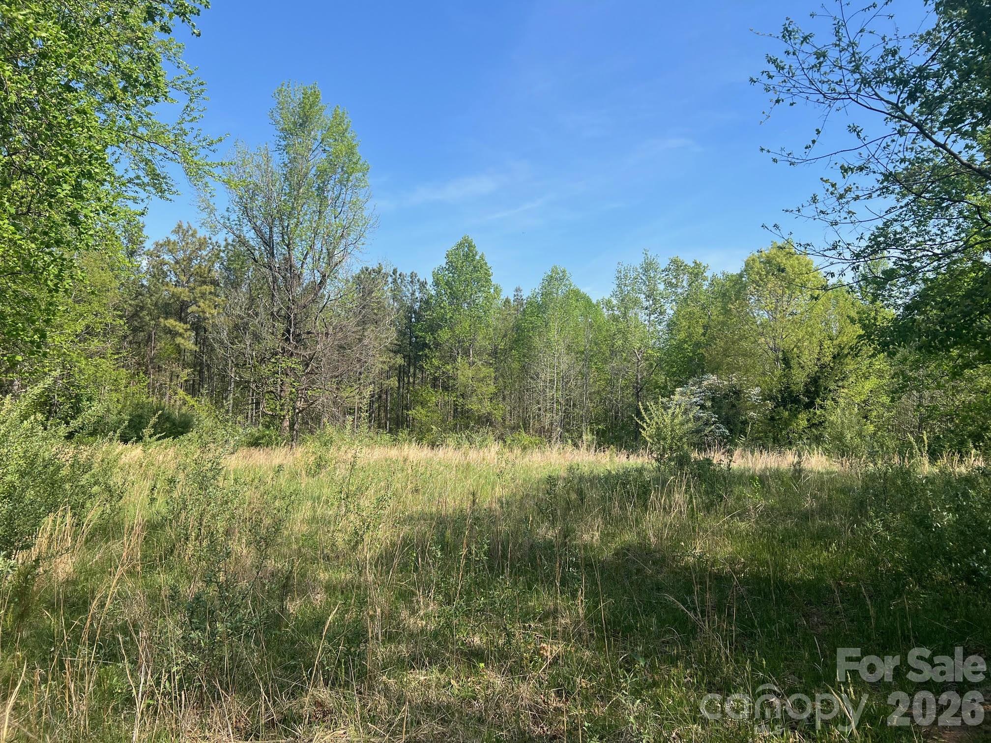 6374 Peniel Road Tryon NC 28782