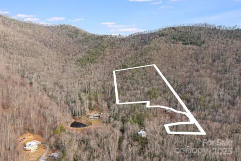 Tbd Walker Mountain Lane Black Mountain NC 28711