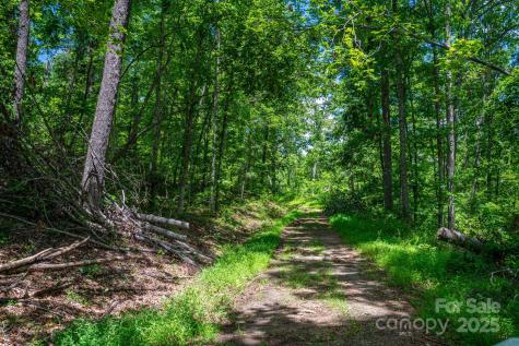 Lot 210 Plantation Drive Rutherfordton NC 28139