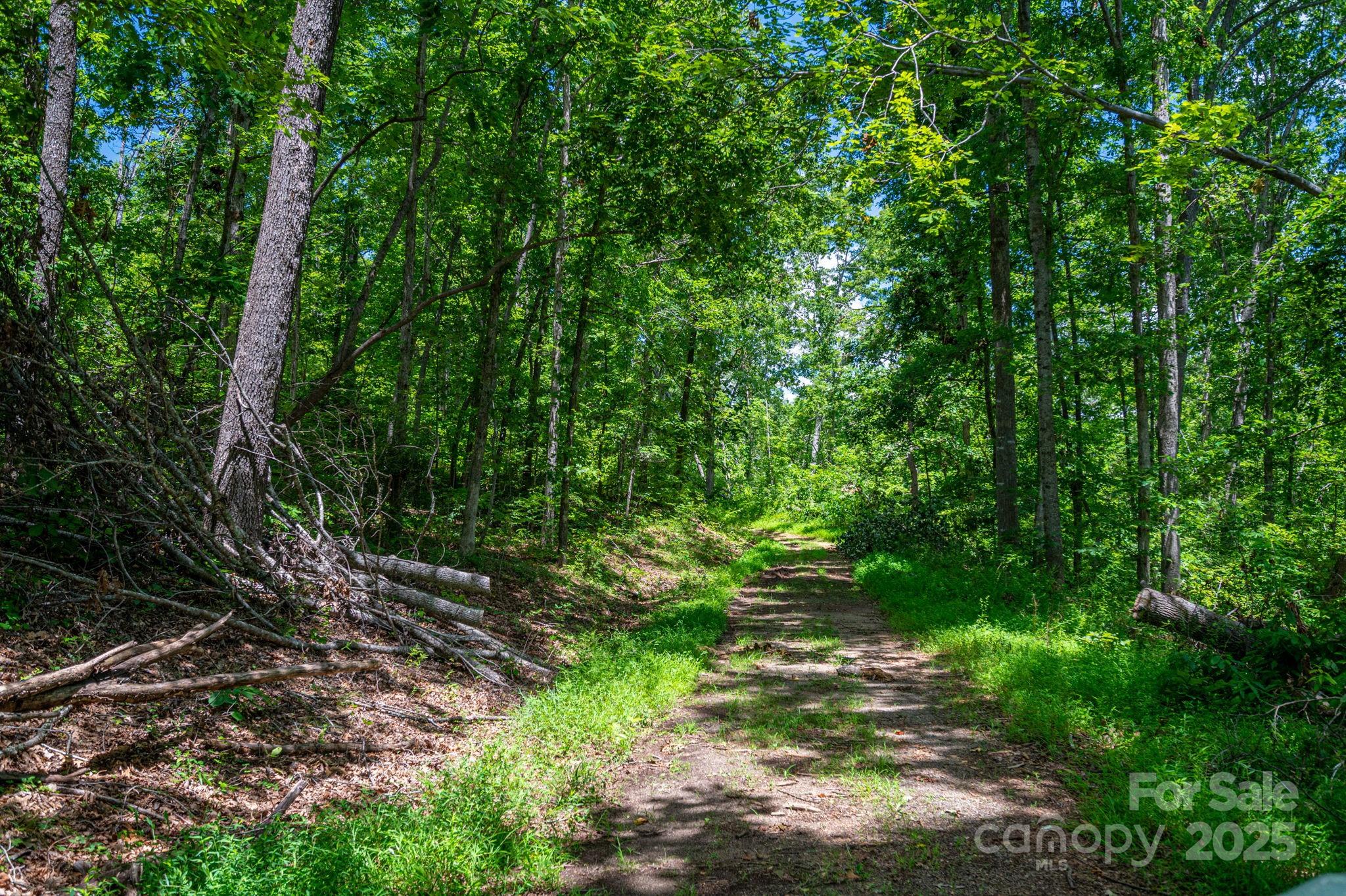 Lot 210 Plantation Drive Rutherfordton NC 28139