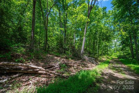 Lot 210 Plantation Drive Rutherfordton NC 28139