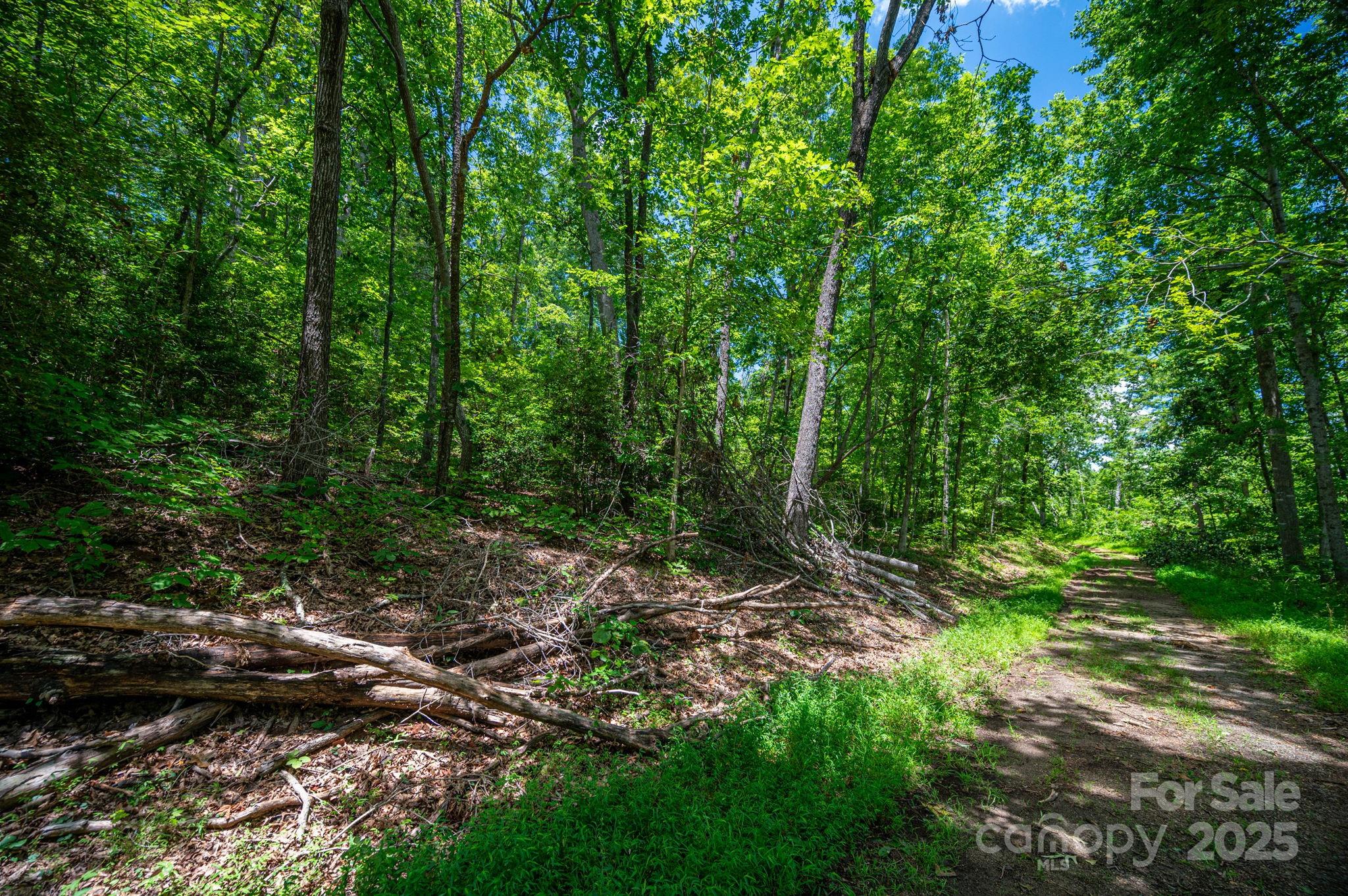 Lot 210 Plantation Drive Rutherfordton NC 28139