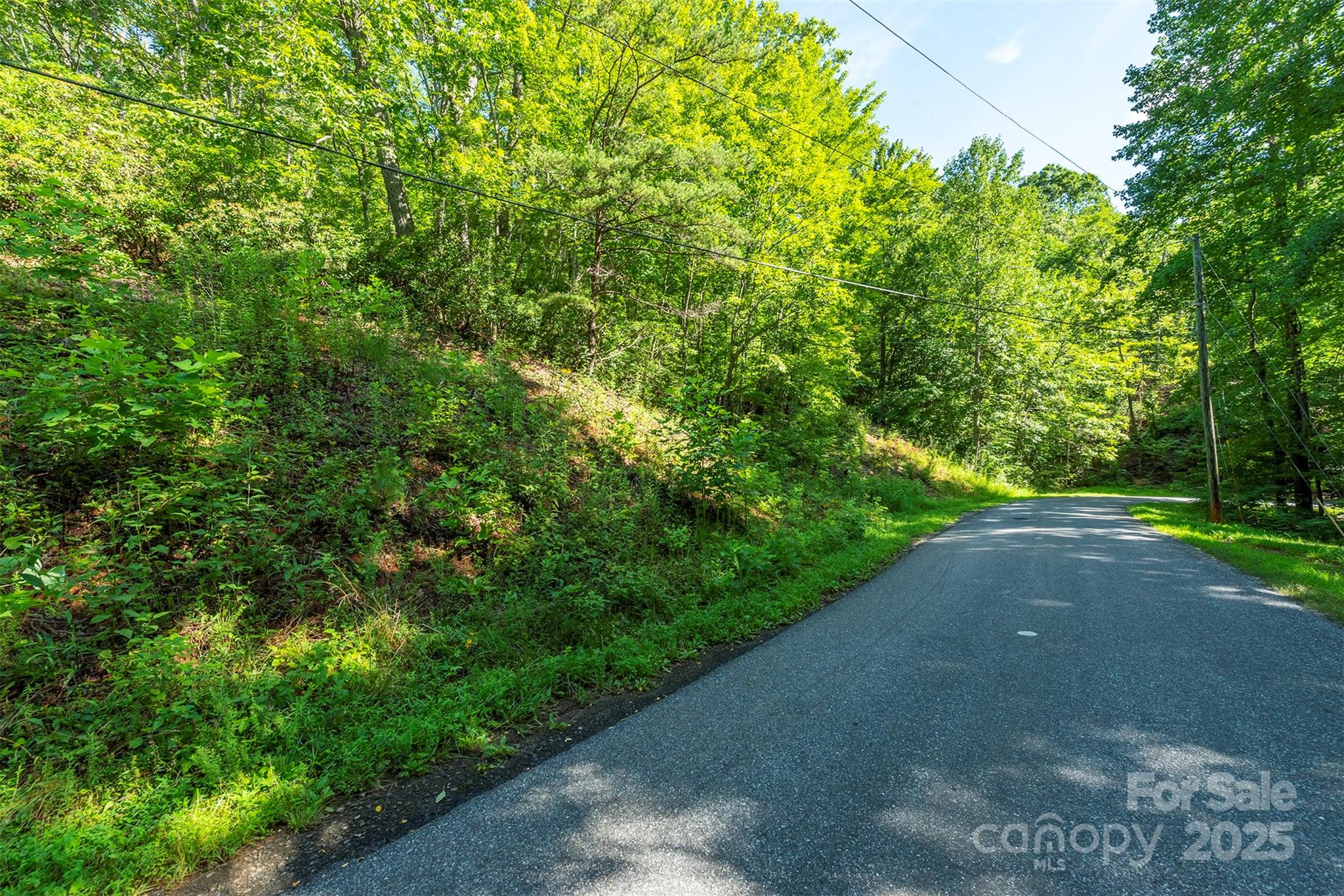 Tbd Mckenzie Way N Old Fort NC 28762