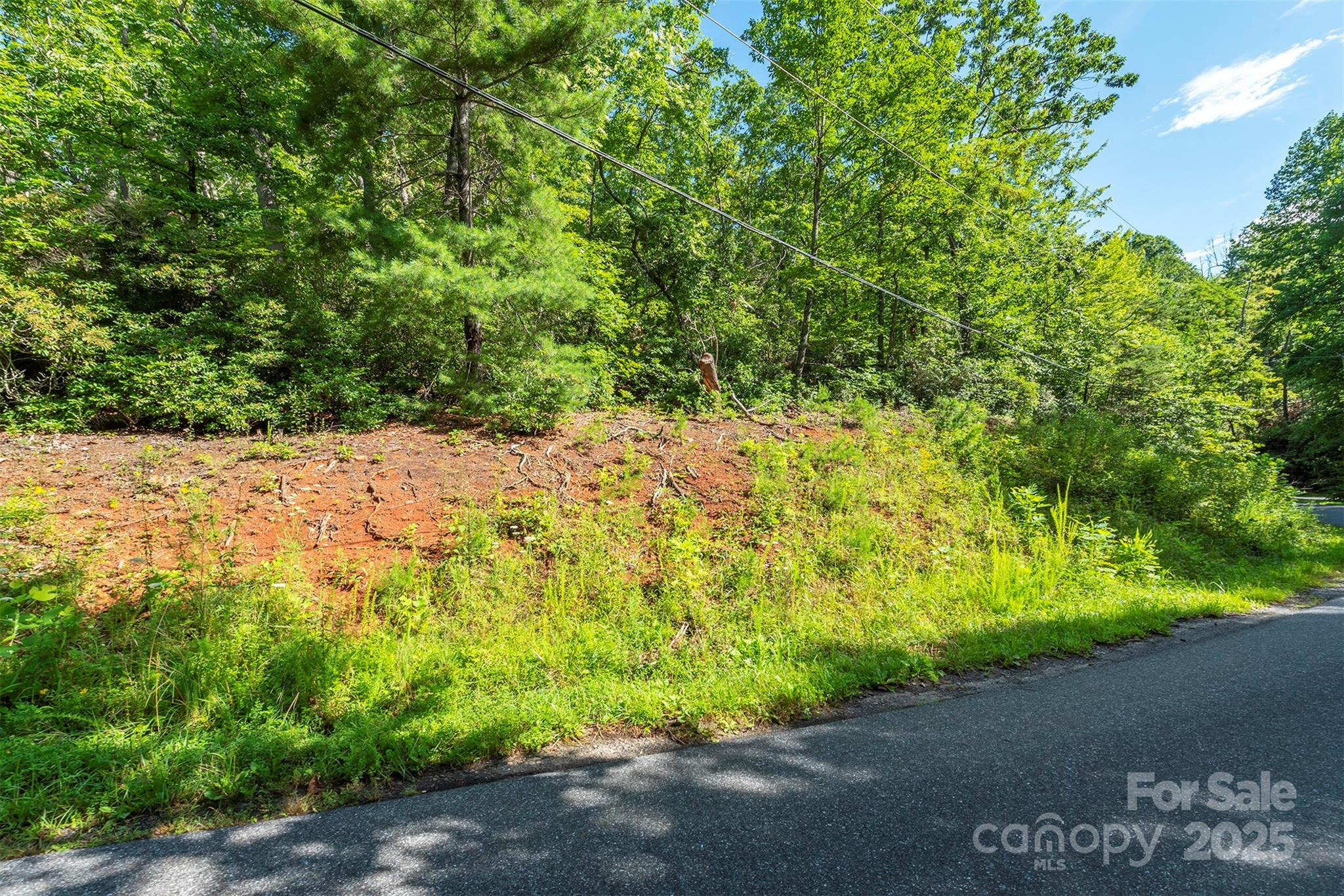 Tbd Mckenzie Way N Old Fort NC 28762
