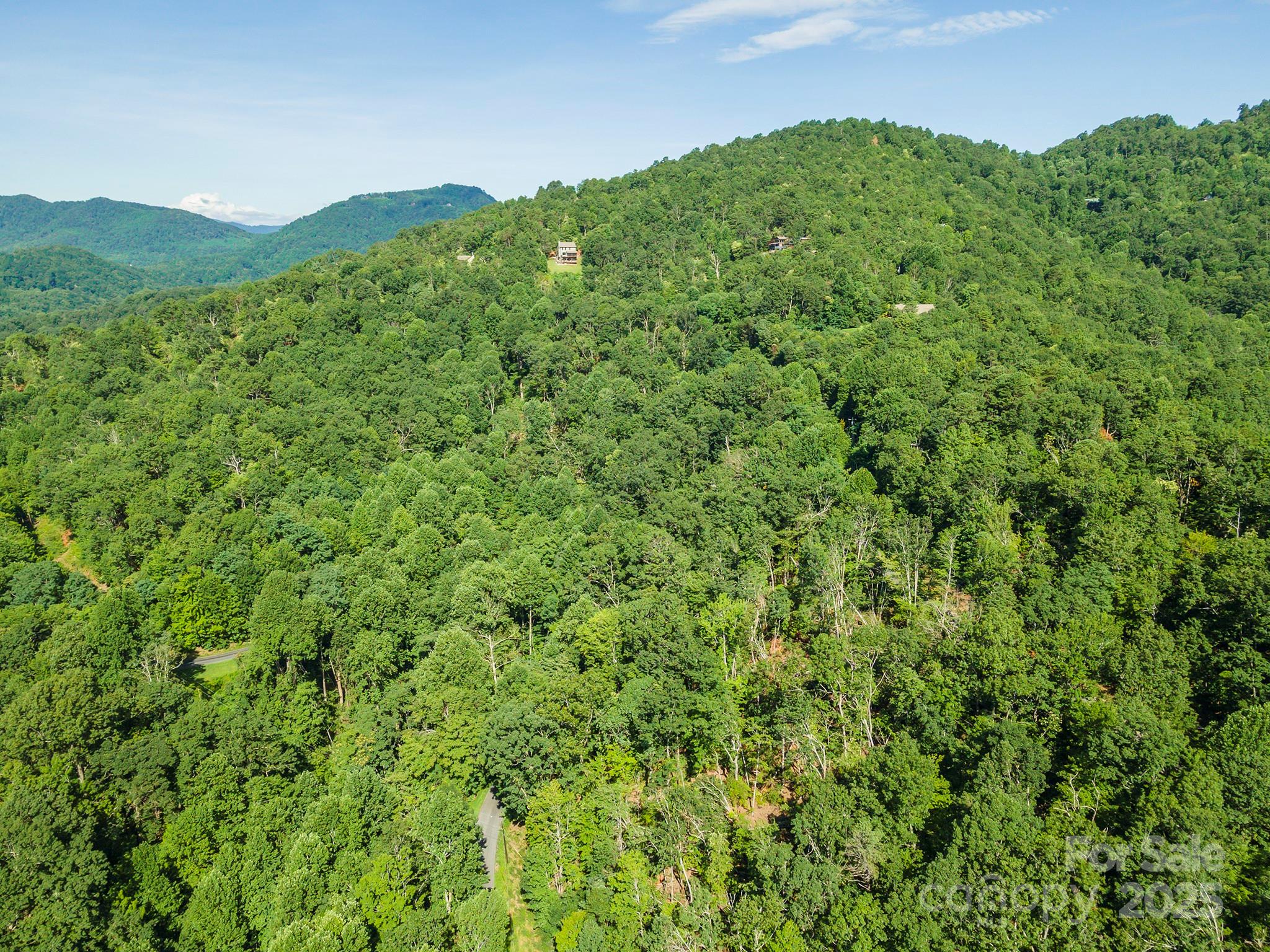Tbd Mckenzie Way N Old Fort NC 28762