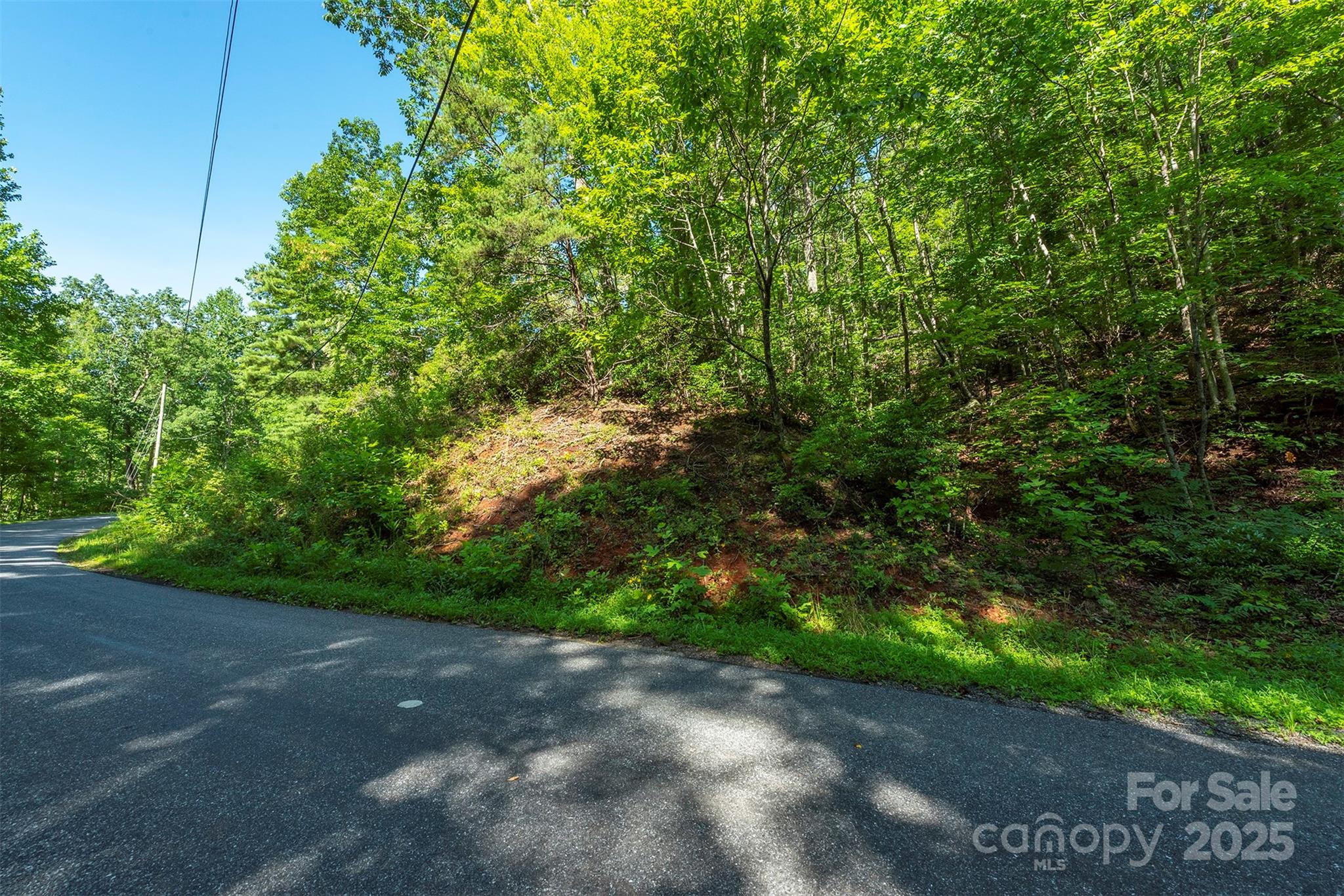 Tbd Mckenzie Way N Old Fort NC 28762