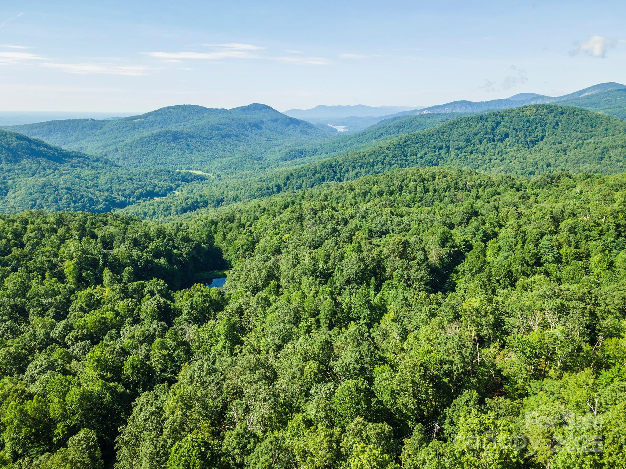 Tbd Mckenzie Way N Old Fort NC 28762