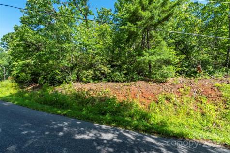 Tbd Mckenzie Way N Old Fort NC 28762