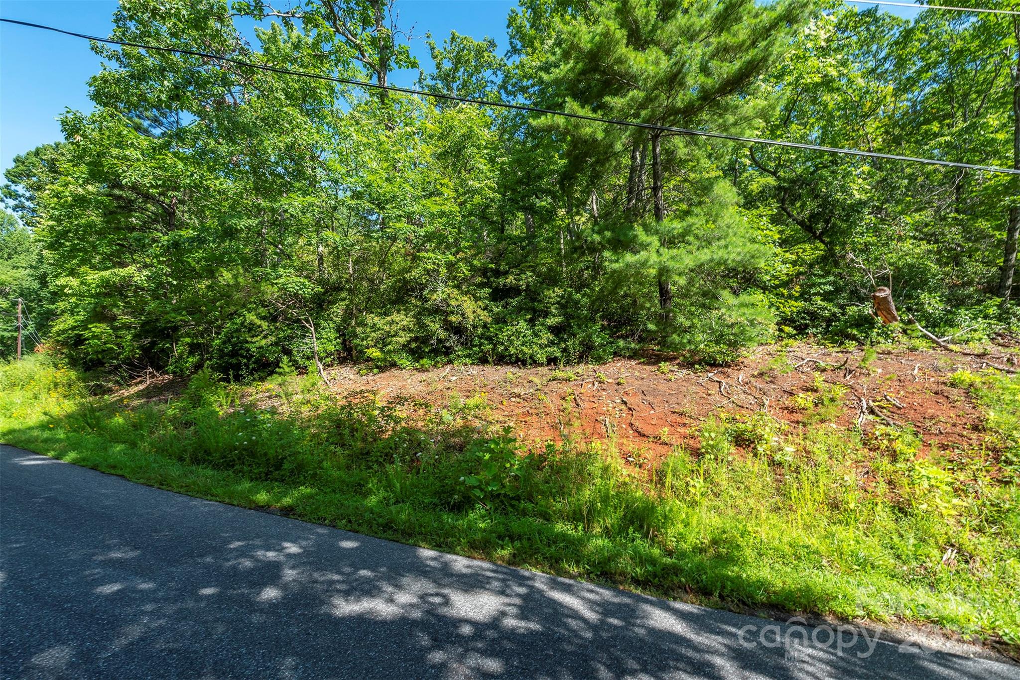 Tbd Mckenzie Way N Old Fort NC 28762