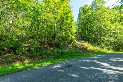 Tbd Mckenzie Way N Old Fort NC 28762