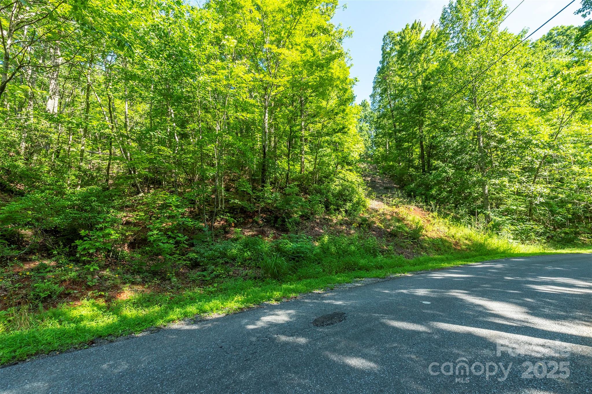 Tbd Mckenzie Way N Old Fort NC 28762