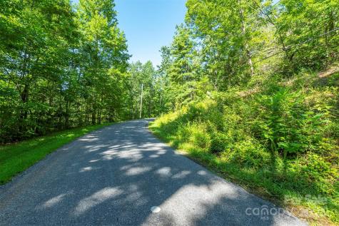 Tbd Mckenzie Way N Old Fort NC 28762