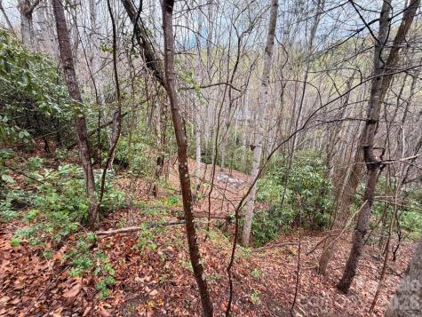 000 Ridgeview Drive Hendersonville NC 28791