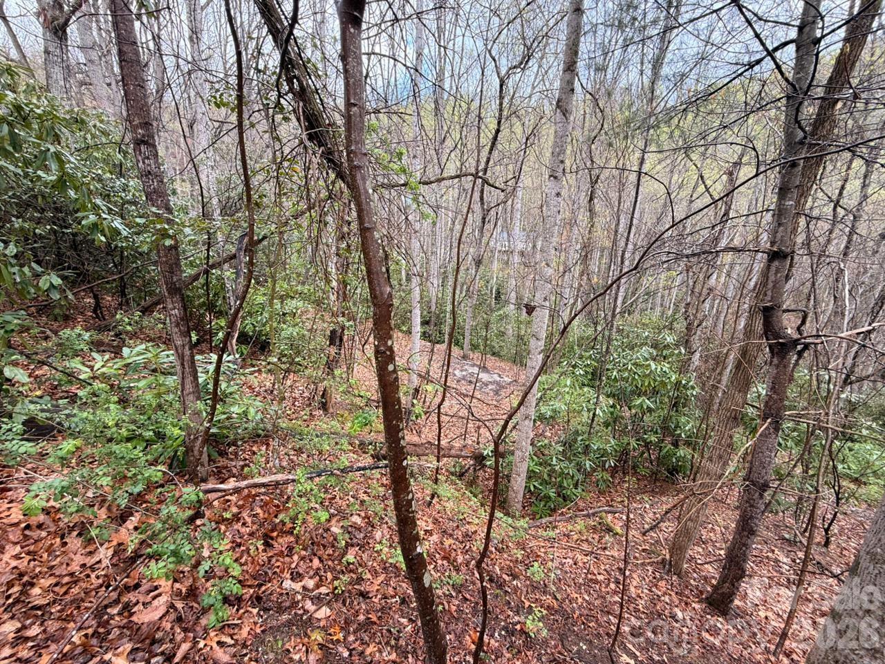 000 Ridgeview Drive Hendersonville NC 28791
