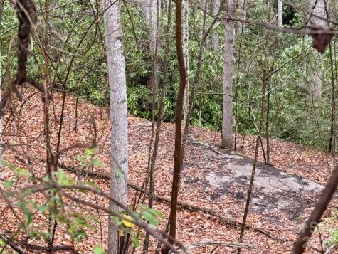 000 Ridgeview Drive Hendersonville NC 28791