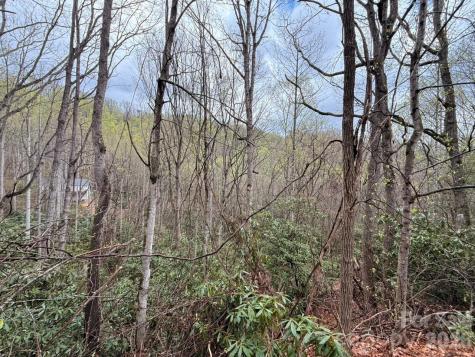 000 Ridgeview Drive Hendersonville NC 28791